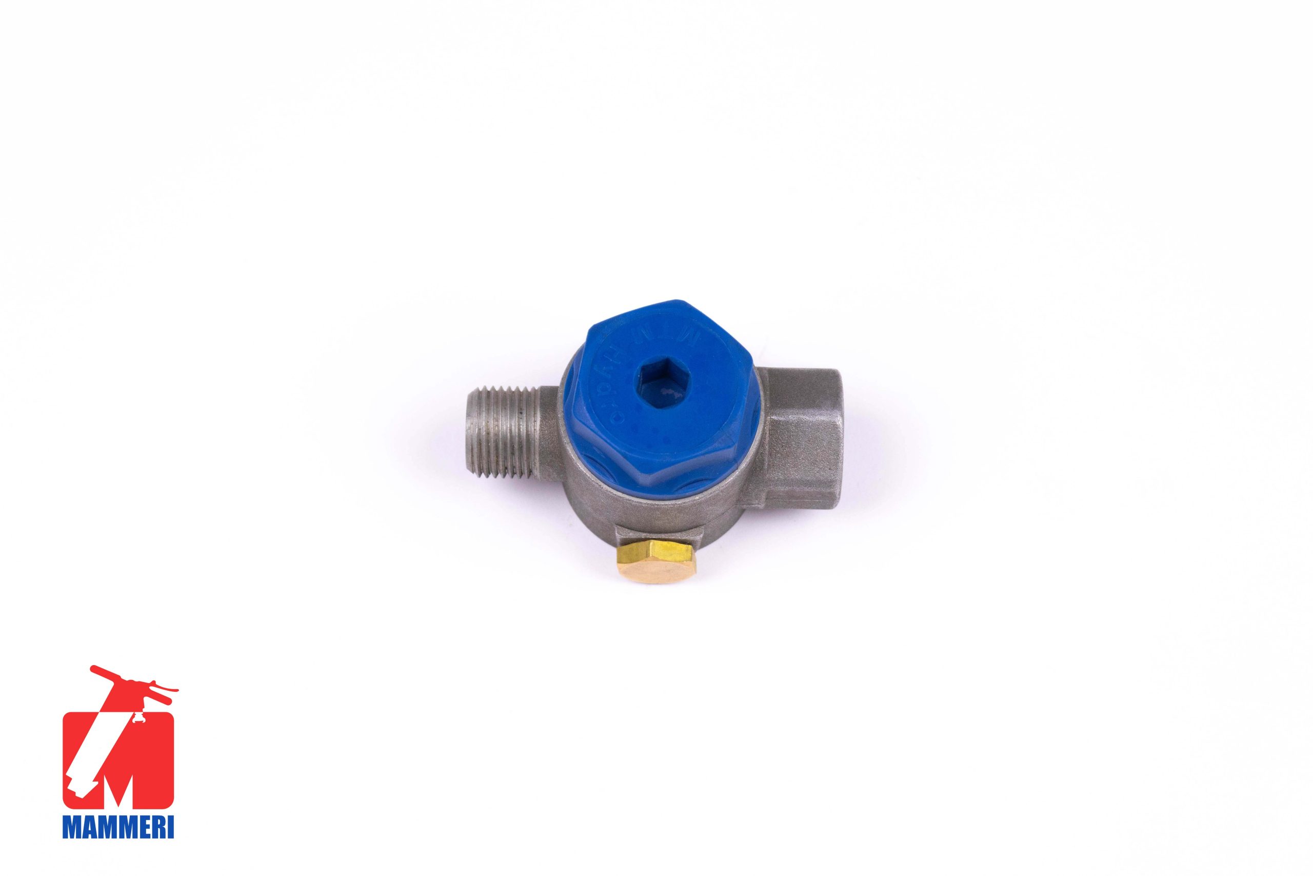 Ensemble Clé Professionnel