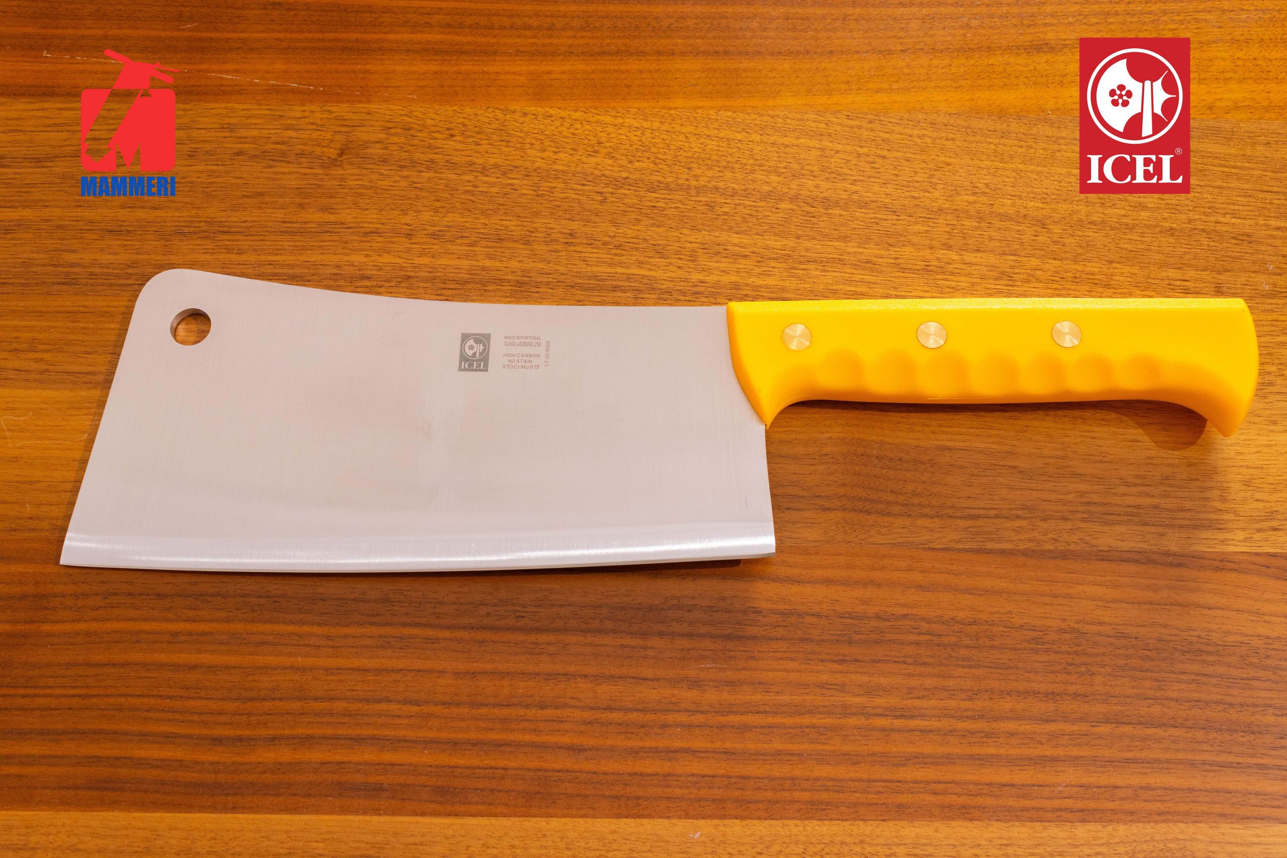 Appareil Projecteur Professionnel