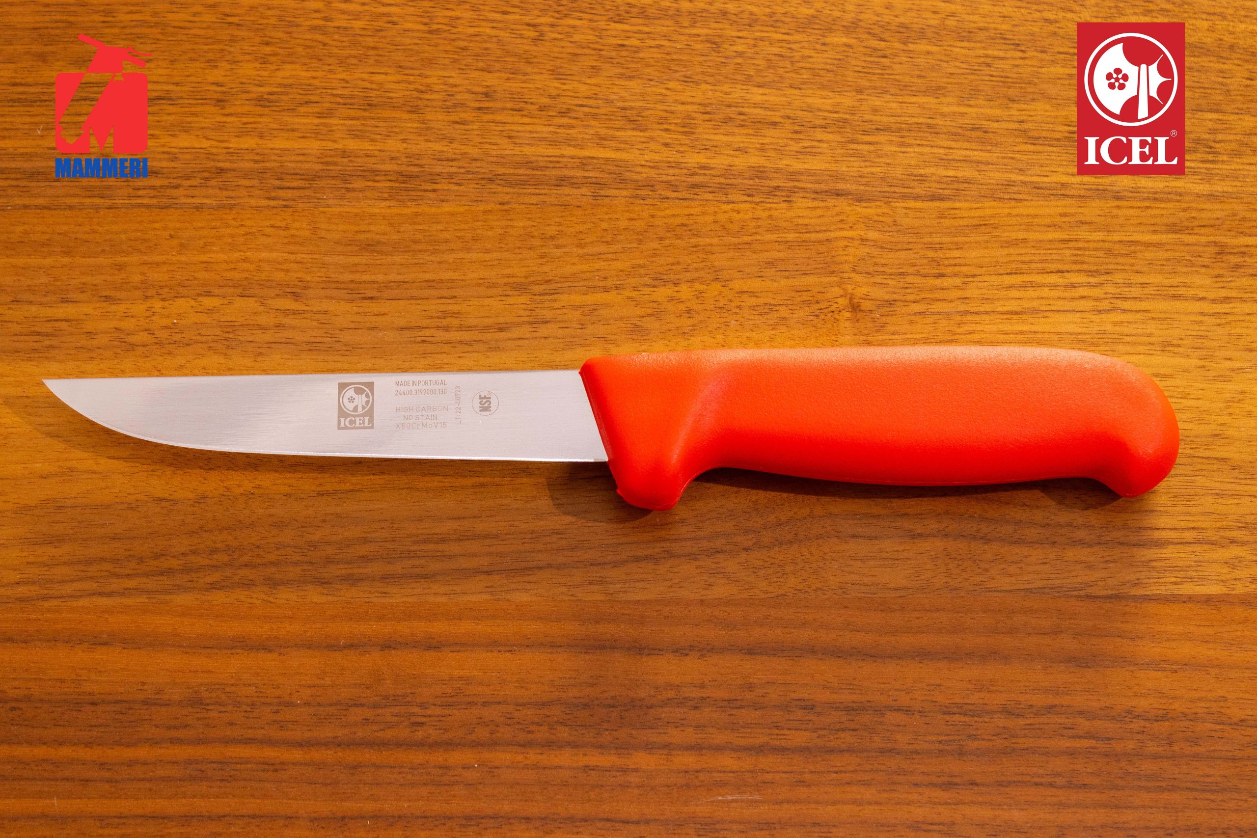 Ensemble Pompe Professionnel