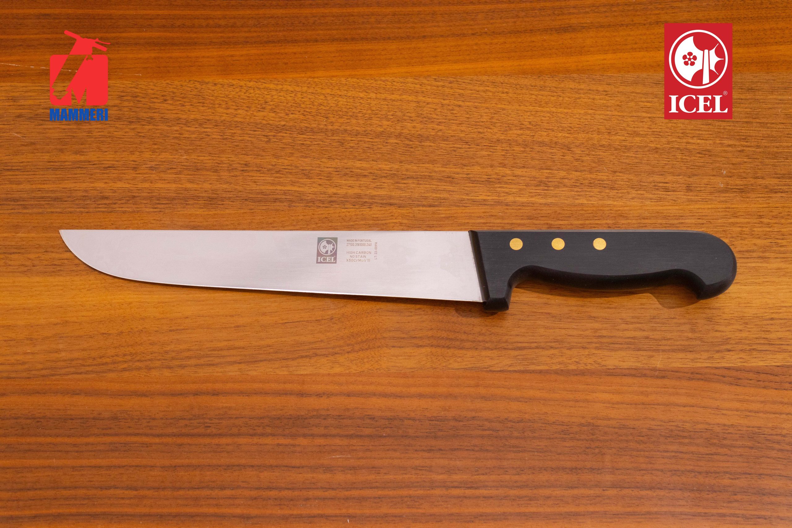 Ensemble Projecteur Professionnel