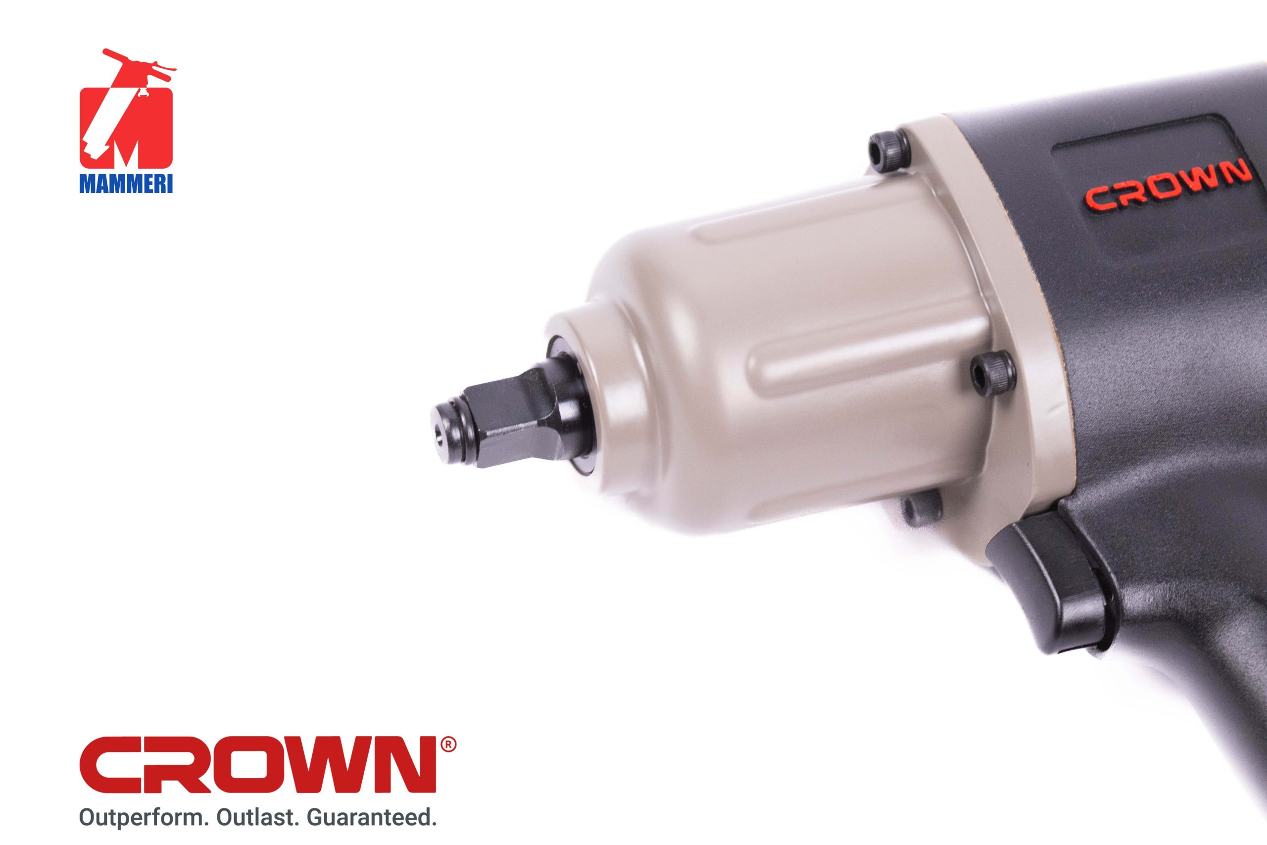 Ensemble Détecteur Premium