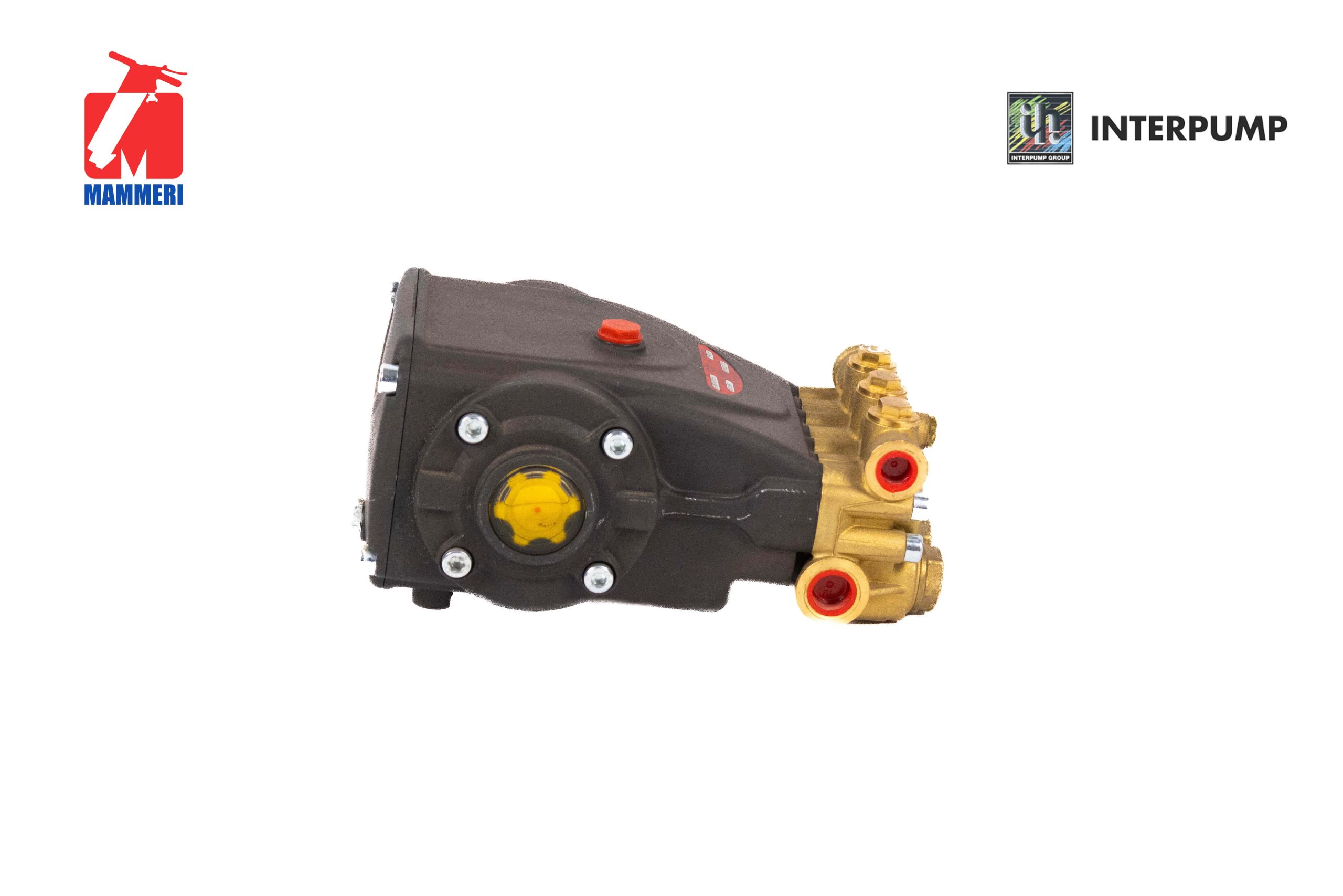 Pièce Lampe portative Premium